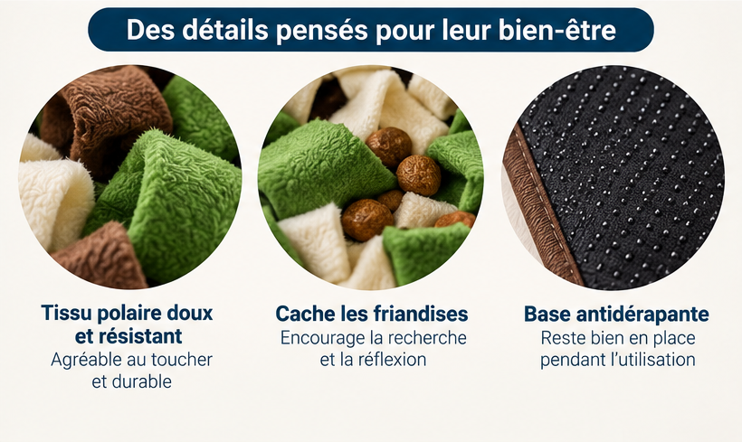Détails des zones de recherche du tapis de fouille Furléo